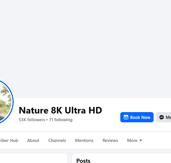 Content Monetization Approved | 53k+ Followers | Recommedation On