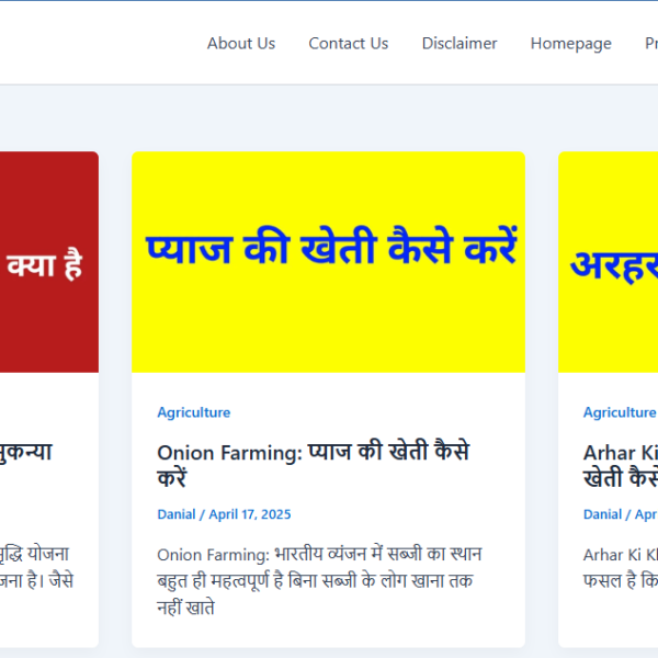 Todaygoogle.in | Best Yojana Contain | Ad Manager Not Use