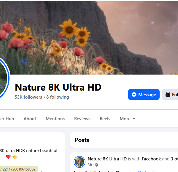 Containt Monetization Approved | 53k+ Followers | Reels Red