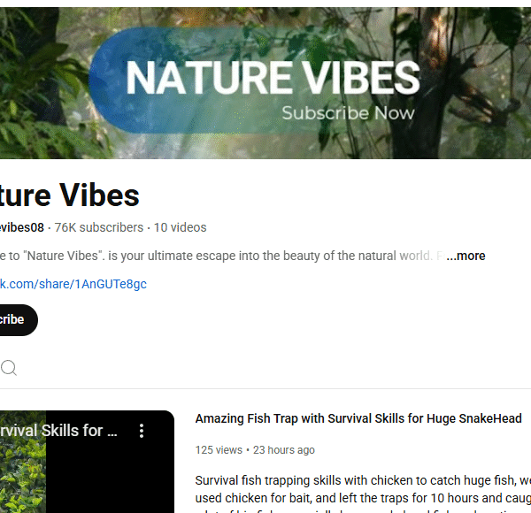 3 Payment Received Monetised Channle | Forest-Nature Niche