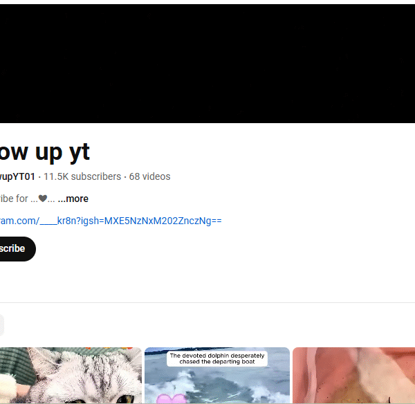 11k+ Subscriber Non Monetised Vlog Channle | 3k+ Monthly View
