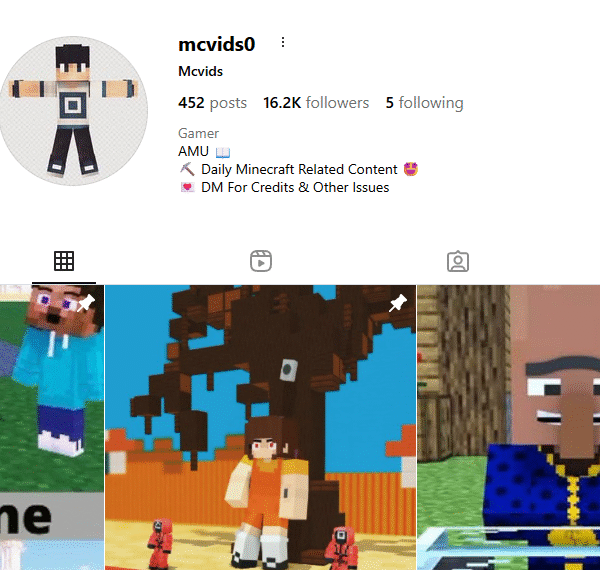 16k+ Follower Instagram Page | Gaming Niche | Status Green