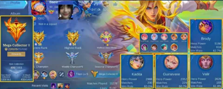 220 Heros | 545 Skins | Region India