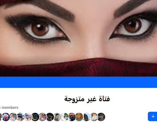 636 Member FB Group | Agypt-Algeria Traffic | No Policy Issue