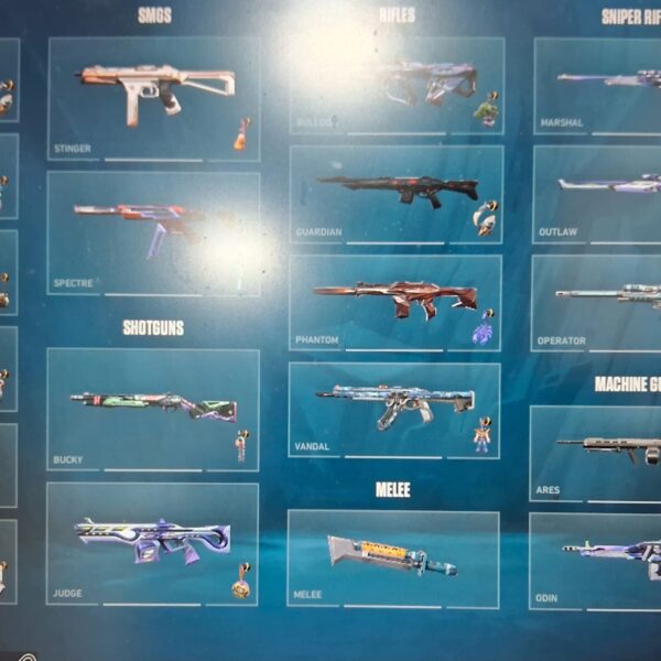 Silver Level Valorant Account | 4 Year Old | India Region