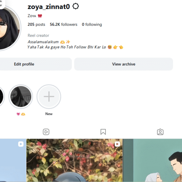 56k+ Follower Instagram | 745k View | No Policy Issue