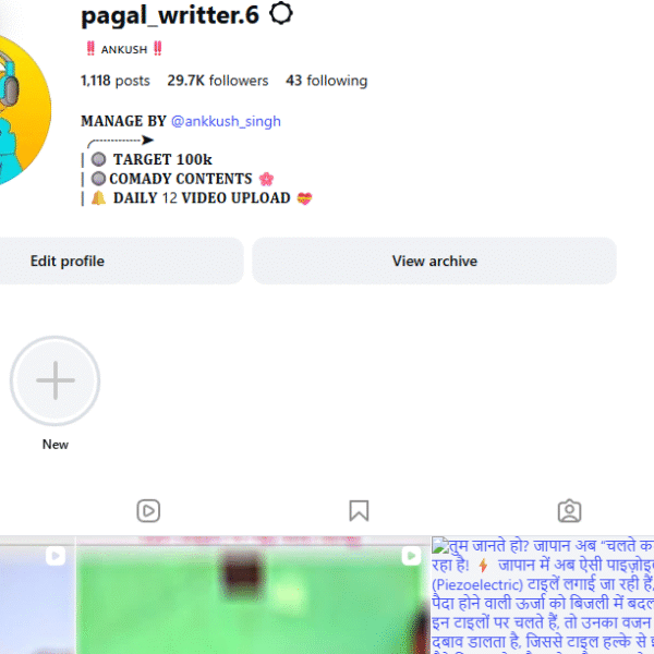 29k+ Follower Instagram | 100k View | No Policy Issue