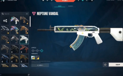 15 Premium Weapon Valorant Account | 2 Year Old | India Region