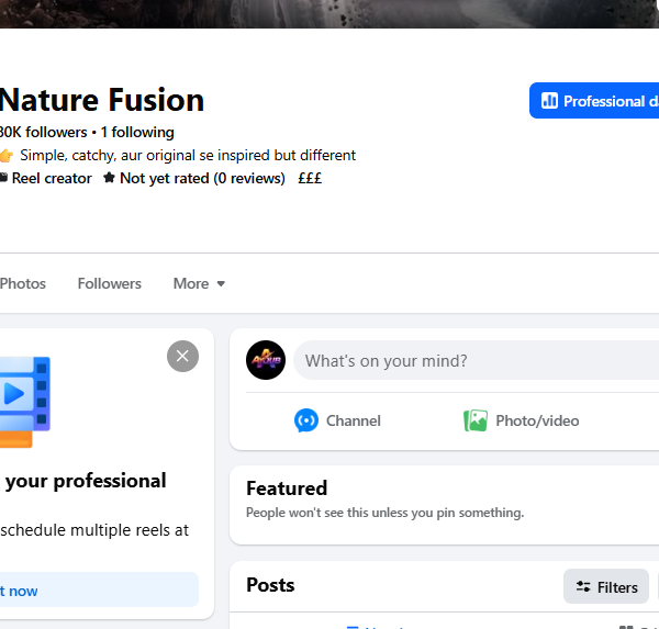 80k Follower Page | 80k View | Payout Account Not Available