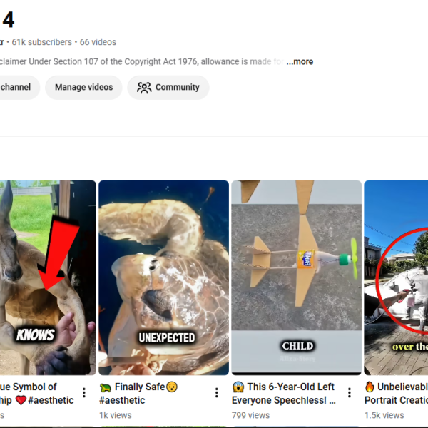 61k subscribers | 6.8L View  | 1 Year Old