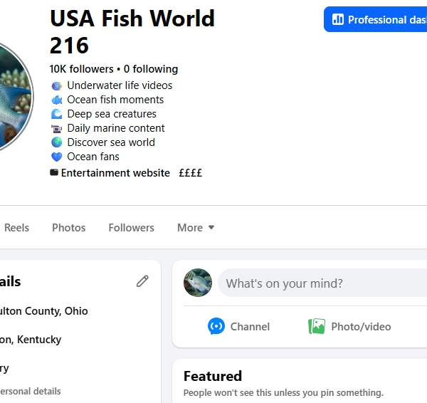 Setup Page| Angola Traffic |10k Follower | 150K Views