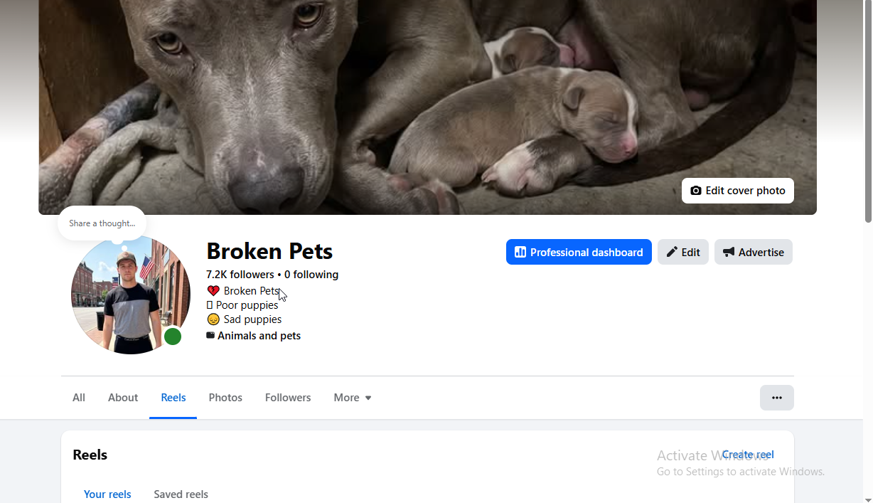 2026-09-01 17_20_45-(16) Broken Pets Reels _ Facebook