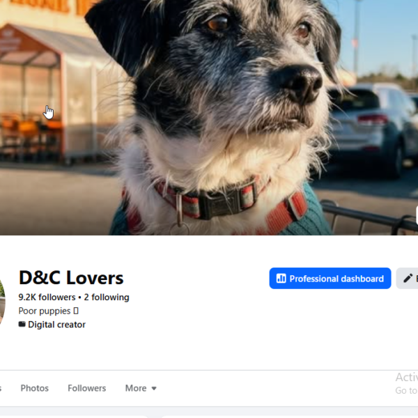 US Traffic Page | 9.2K Followers | 671K View