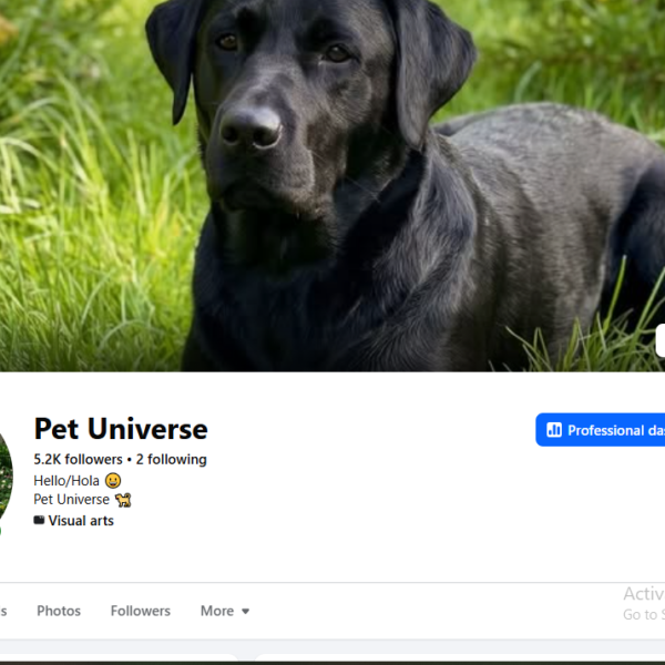 US Traffic Page | 5.2K Followers | 1 year old