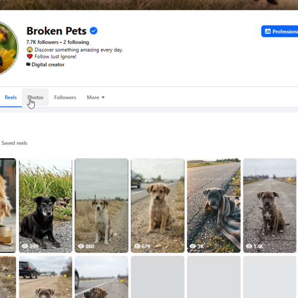 US Traffic Page|669K View|7.7K Followers|Page Issue