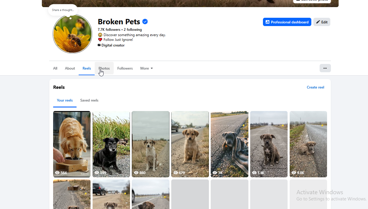 2026-09-18 18_02_05-(16) Broken Pets Reels _ Facebook